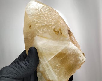 Calita Dente Großer Hund 1,13kg