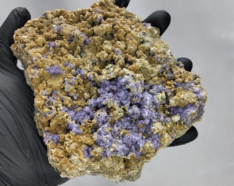 Seltenes Panasqueira Meisterstück - 925gr Lila Fluorit, Apatit & Kassiterit!