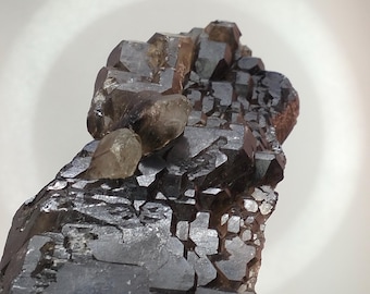 495gr Rare Dark Smoky Elestial Quartz - Collectors Piece