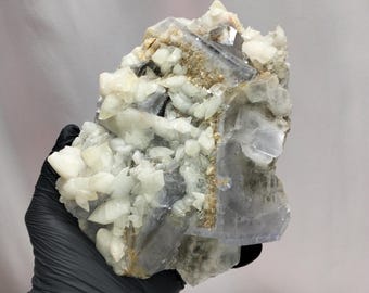 La Viesca hellblauer Fluorit mit Hundszahn Calcit - Museumsqualität