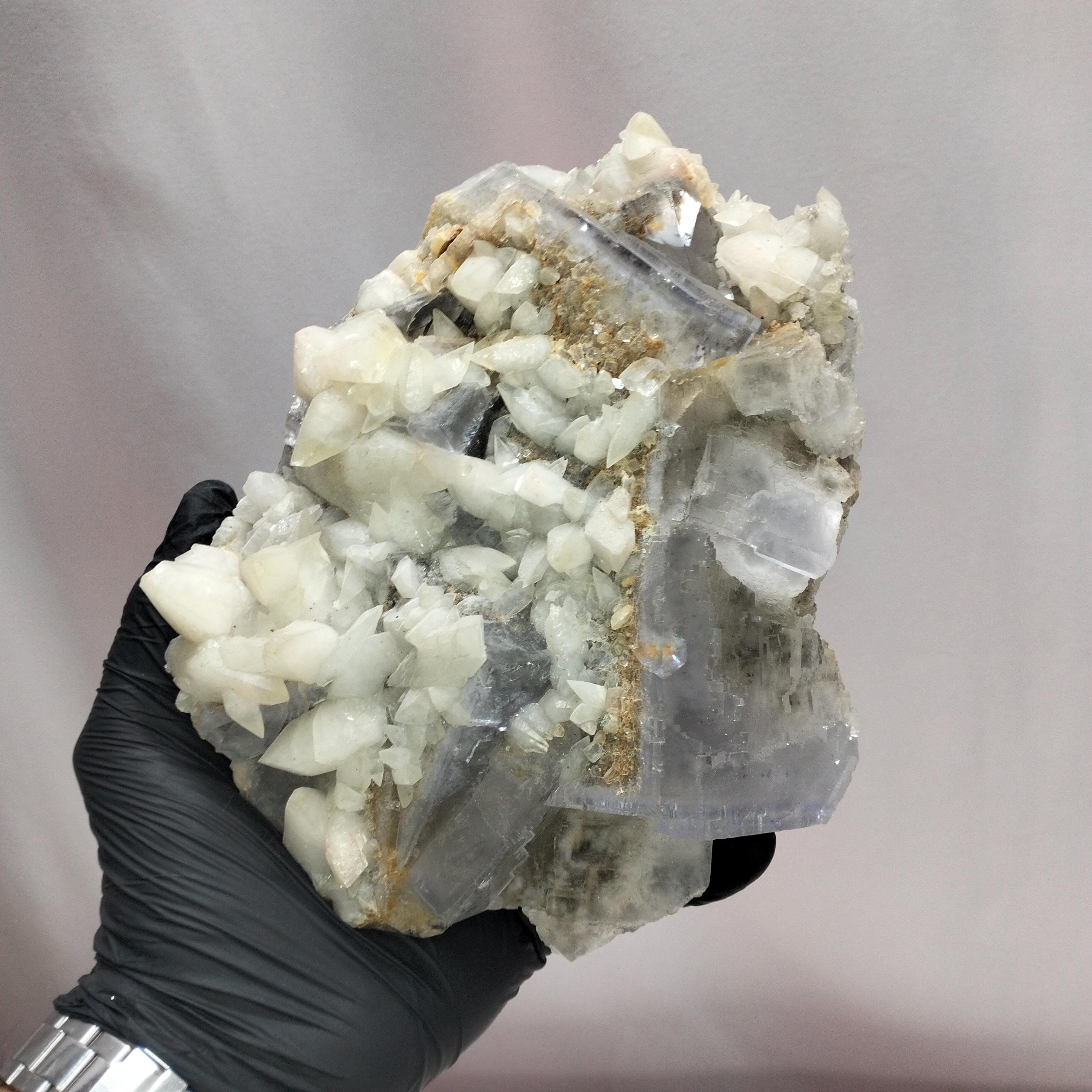 << 再値下げ >> ブルーフローライトスカル ラ・ヴィエスカ ライトブルーフローライト（ドッグトゥースカルサイト