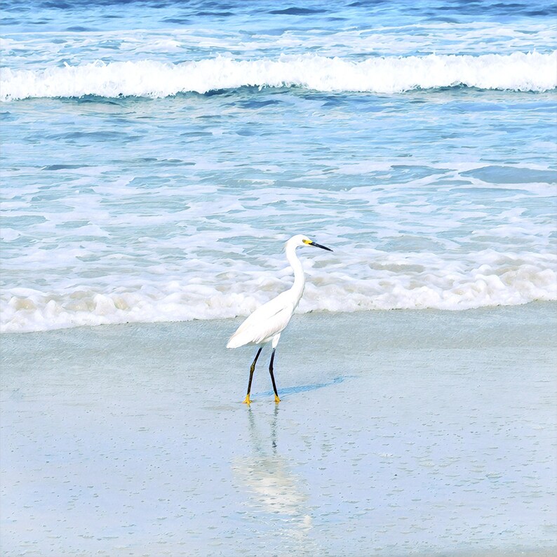May include: A white egret bird with yellow feet stands on a sandy beach with blue water and white waves in the background.