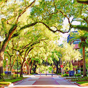 University of Florida Gainesville College Canopy Row Graduation Gift UF Gator Love Wall Photo Art Print Campus Tree Architecture Building