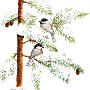 Blackcapped Chickadee Art Print Decor Gift Set Unique Watercolor Print Gift For Audubon Bird Lover Art Print for Blackcap Chickadee Print