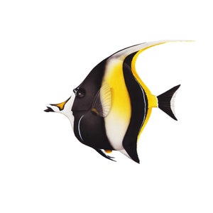 Moorish Idol Fish Print For Wall Decor Saltwater Aquarium Fish Art Lover Of Watercolor Moorish Idol For Interior Decor of Tropical Fish