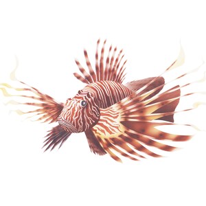 Scorpion Fish Print For Wall Decor Saltwater Aquarium Lionfish Art Lover Of Watercolor Scorpion Print For Interior Decor