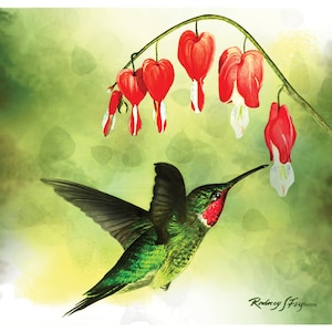 Ruby-Throated Art Print Of Hummingbird Wall Decor Picture For Gift for Mom And Gift For Dad Of Hummingbird Art Print for Friend bird lover