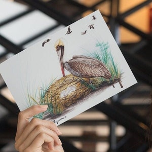 Brown Pelican Notecard Set of Stationary For Bird Lovers Christmas Gift Of Pelican Notecard Gift Of Bird Lovers Notecard Art of Waterfowl
