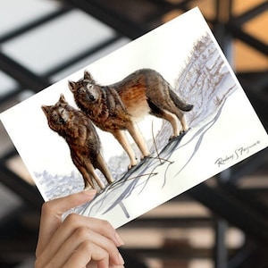 絶滅危惧種のタイリクオオカミの水彩画カードのクリスマスノートカード 絶滅危惧種の野生生物愛好家へのギフトに最適なタイリクオオカミの文房具