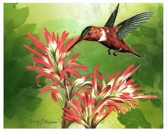 Rufous-Sided Art Print Of Hummingbird Wall Decor Picture For Gift for Mom And Gift For Dad Of Hummingbird Art Print for Friend bird lover