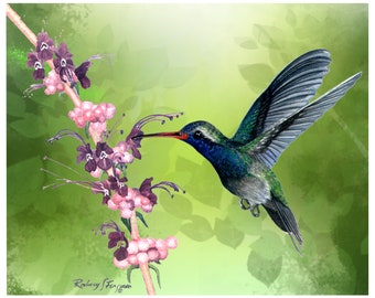 Broad Billed Art Print Of Hummingbird Wall Decor Picture For Gift for Mom And Gift For Dad Of Hummingbird Art Print for Friend bird lover
