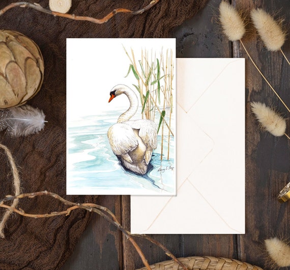 Swan Note Card Swan Note Card