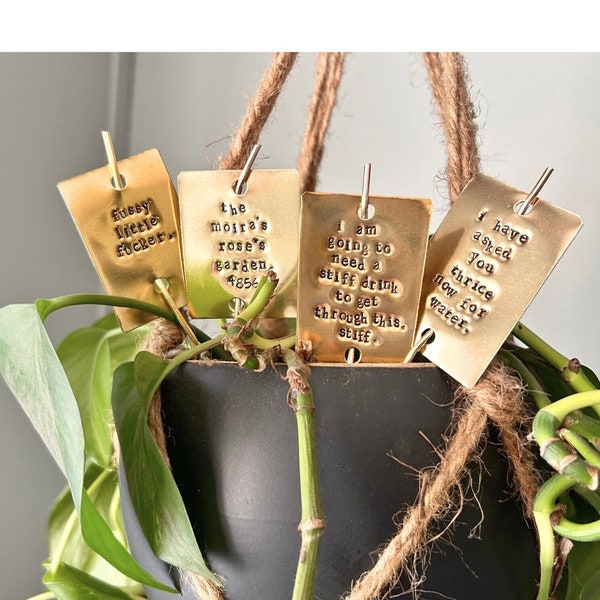 Schitt's Creek Gift Set, I HAVE asked you THRICE now, plant stake, plant marker, funny plant lover gift, housewarming gift