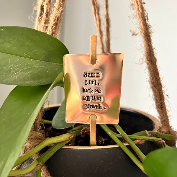 DAMN GIRL look at all that growth, plant stake, plant marker, funny plant lover gift, housewarming gift