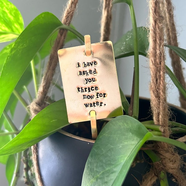 I HAVE asked you THRICE now for water, plant stake, plant marker, funny plant lover gift, housewarming gift, schists creek gift