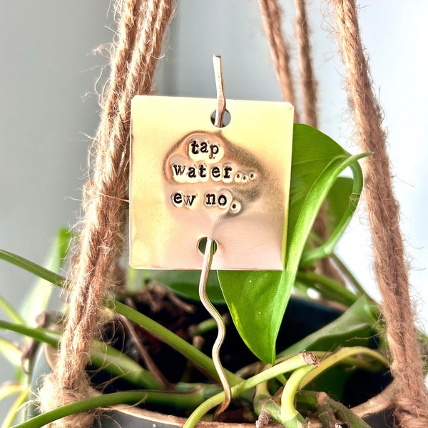 TAP WATER Ew NO, plant stake, plant marker, funny plant lover gift, housewarming gift, black thumb gift. schitts creek gift