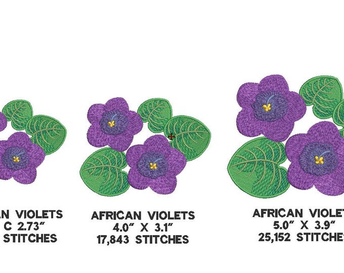 AFRICAN VIOLETS Machine Embroidery File/13 formats/jef/dst/sew/exp/pes/pec/vp3/hus/xxx/csd/emd/shv/pcs/African Violet Embroidery Design