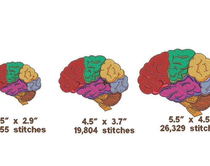 Brain Embroidery File/Colorful Brain Machine Embroidery File/3 sizes Brain Machine Embroidery Design/Colorful Brain Machine Stitch File