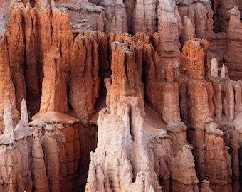 Bryce Canyon Hoodoos Print | Utah National Park Photography