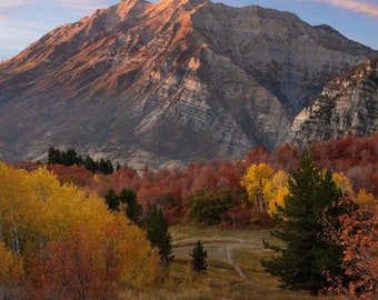 Autumn Colors in the Wasatch Mountains | Fall in Utah | Wanderlust Gift | Photography Print