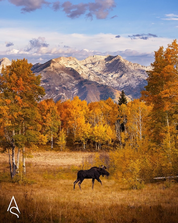Wasatch mountains sale