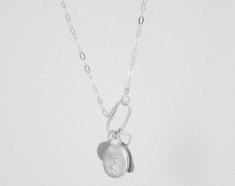 Carabiner Collector Chain Necklace