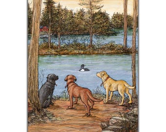 Yellow Labrador Retriever, Chocolate Labrador Retriever, Black Labrador Retriever meet a Loon at the Lake Midcoast Maine