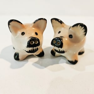 Besetztes Japan Schwein Salz und Pfefferstreuer - Bezaubernd!