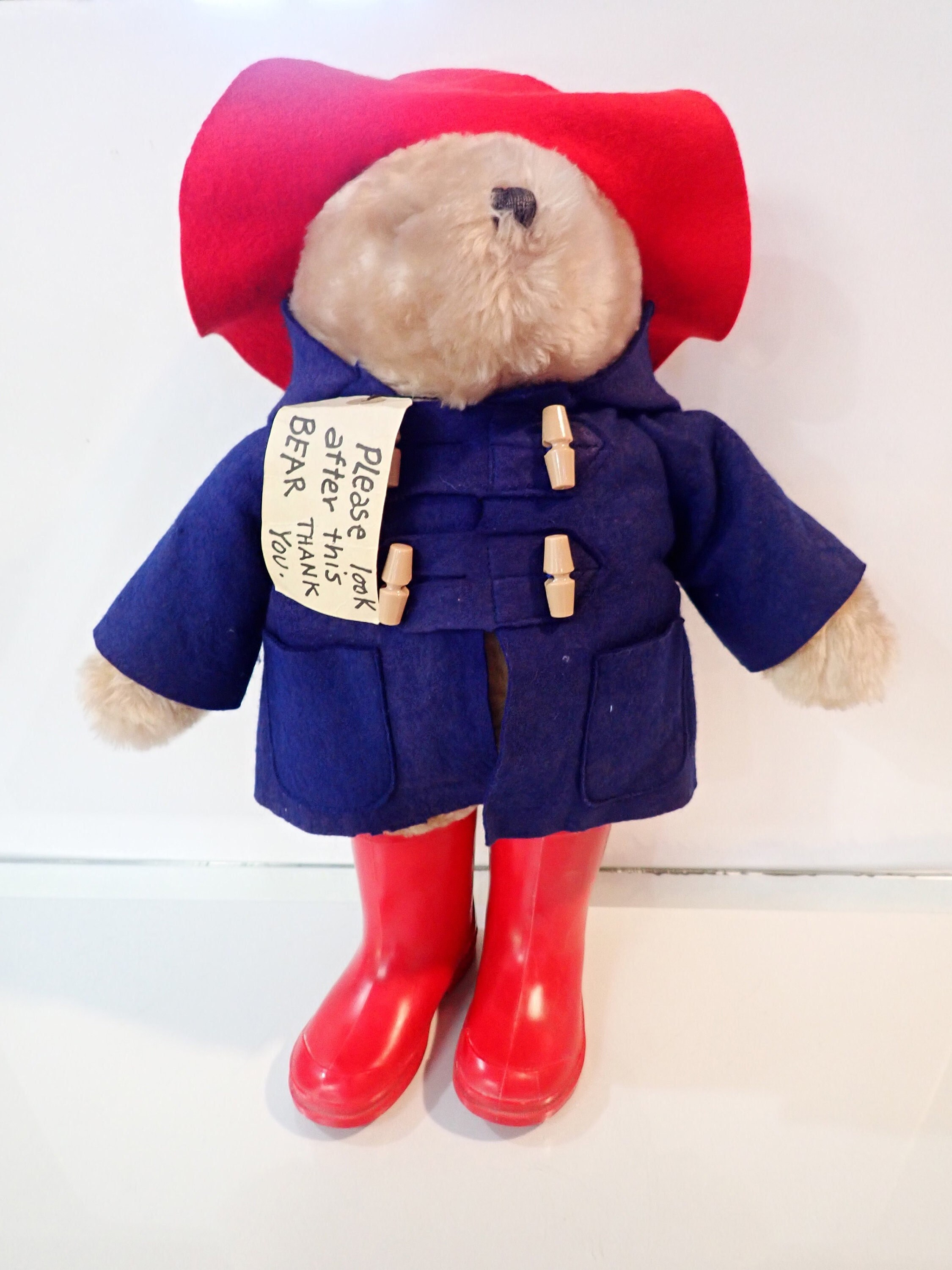 royal blue teddy bear coat