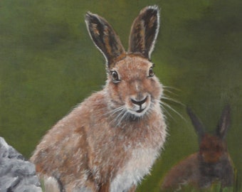 Irish Collection Original Acrylic Painting of 'Harry', an Irish Hare.  Framed in a Black and Gold Floater frame  12"x16"