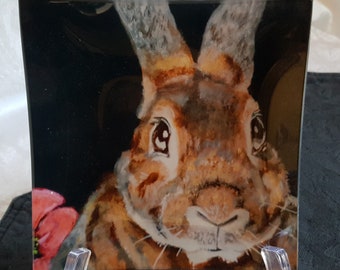 Glass Tray Printed with 'Marion', the Bunny