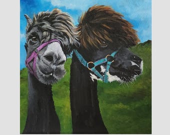 Irish Collection Original Acrylic Painting of Alpacas, 'Benjy & Cub' 12"x 12" Cotton Canvas with 1.5" Cradle Includes Hanging Hardware