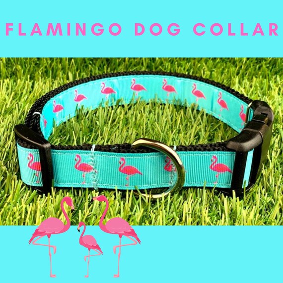 Dog Collar Dog Leash or Matching Set w Teal Blue and Pink Etsy