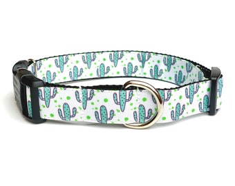 succulent dog collar