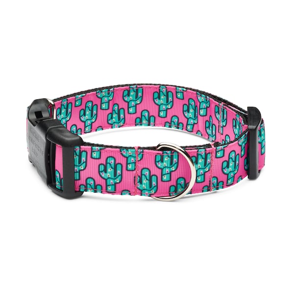 Pretty Pink Saguaro Cactus Dog Collar with tag holder, Dog Collar and Leash available as a set, free shipping on all orders