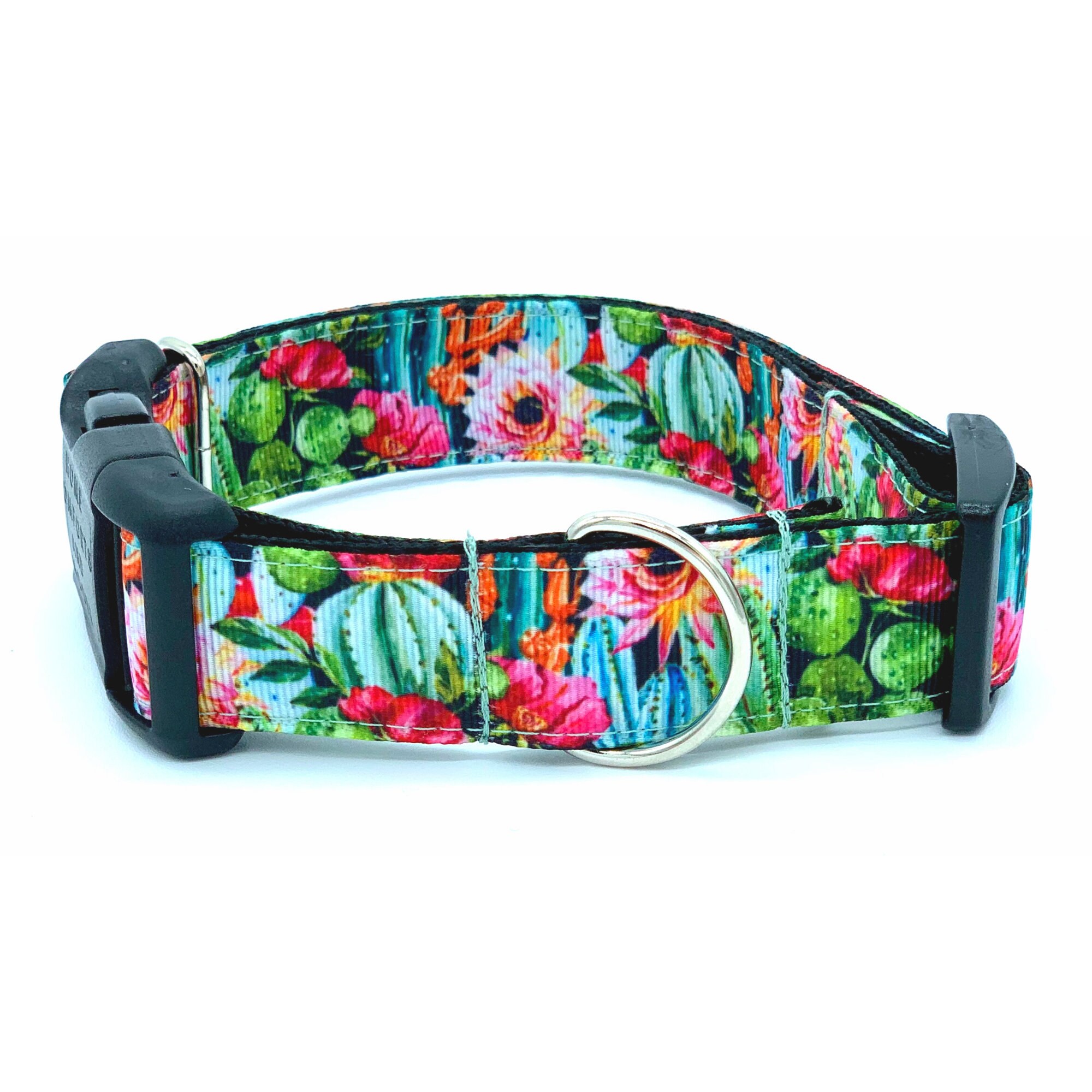 Succulent dog collar new arrivals