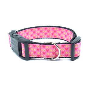 Happy Heart XOXO Pink and Gold Dog Collar with tag holder, Dog Collar and Leash available as a set, free shipping on all orders