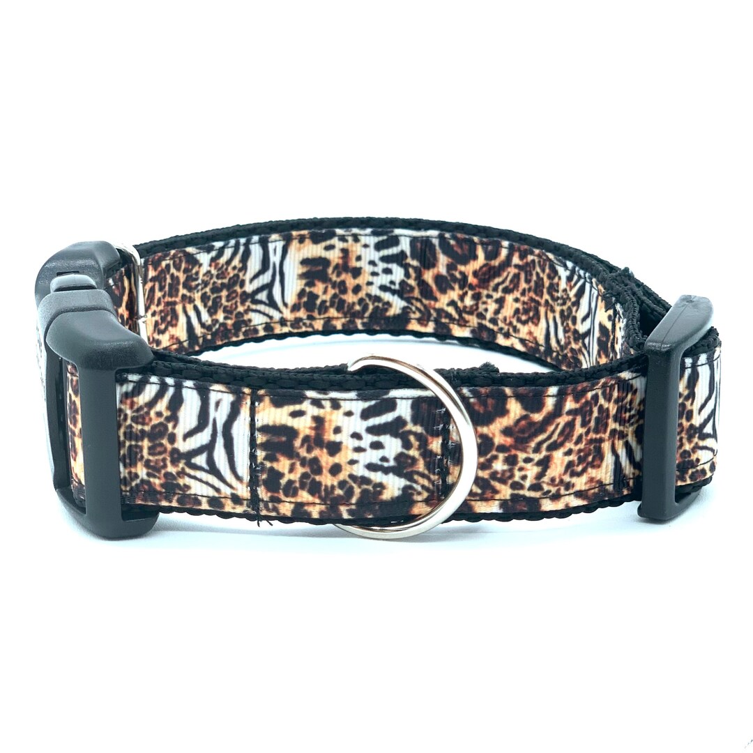 Chasing Cheetah Dog Collar With Tag Holder, Dog Collar and Leash
