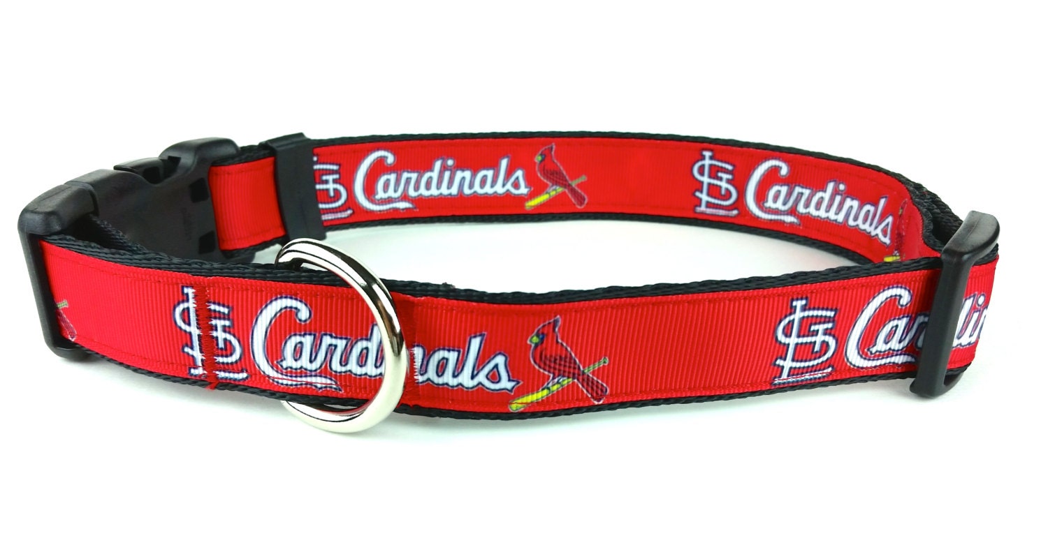 St Louis Cardinal Dog Collar
