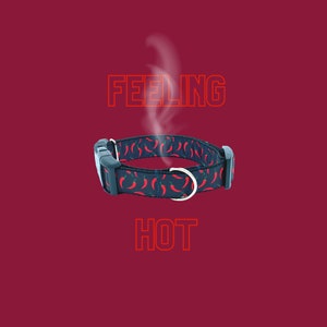 May include: A black dog collar with a red chili pepper pattern and the text "Feeling Hot" in red.