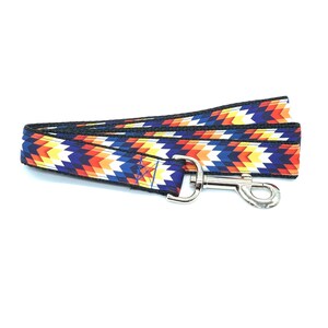 Blazing Blue and Orange Tribal Dog Leash with hook for walking and training