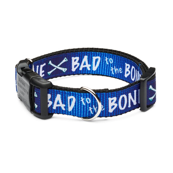 Born "Bad to the Bone" Dog Collar with tag holder, Dog Collar and Leash available as a set, free shipping on all orders