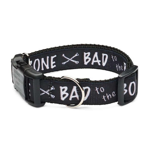 Born "Bad to the Bone" Dog Collar with tag holder, Dog Collar and Leash available as a set, free shipping on all orders