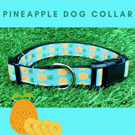 Dog Collar Dog Leash or Matching Set w Teal Blue Orange Green | Etsy