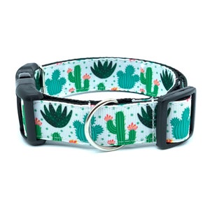 Classy Cactus Dog Collar with tag holder, Dog Collar and Leash available as a set, free shipping on all orders