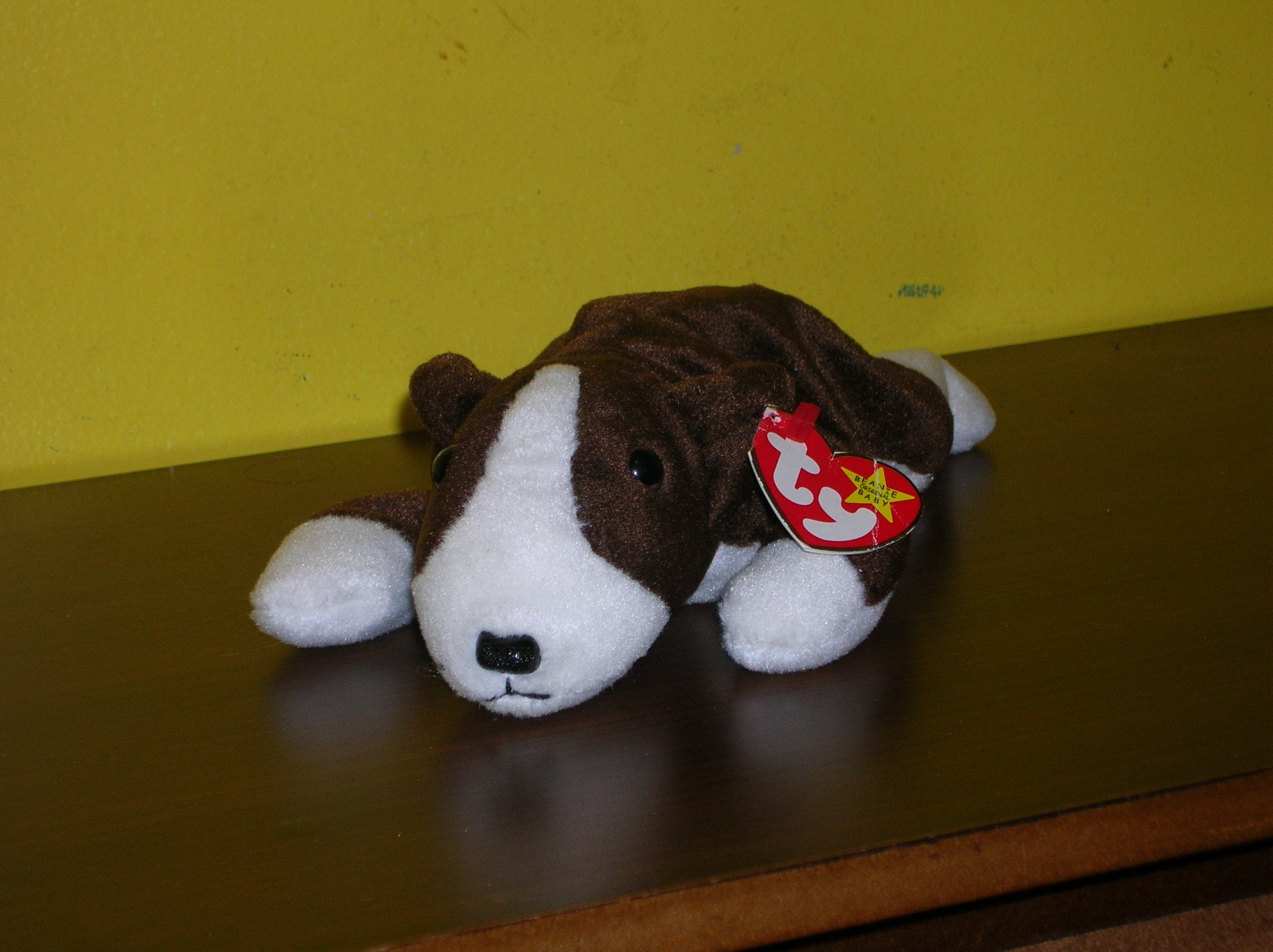 Ty Beanie Baby Bruno - Main Image