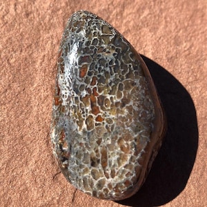 May include: A polished, teardrop-shaped stone with a unique pattern. The stone features a mosaic-like design in shades of brown, gray, and white, with a glossy finish. The stone is resting on a reddish-brown surface.