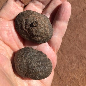 Pair of SMALL MOQUI MARBLES*66.2 grams*2.33 ounces*Shaman Stones from S Utah*aka Mochi Balls*Large 1 1/2 inch x 1 1/8*Small 1 1/2 inch x 1