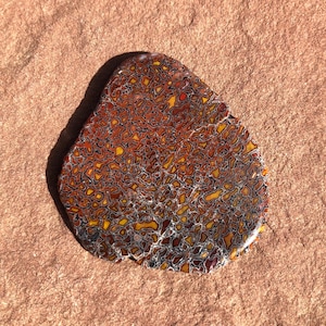 Fossil Gem DINOSAUR BONE CABOCHON*Orange & Red Jasper*50 carats*10.1 grams*.36oz*41 mm x 38 x 3 mm*Jurassic Age*155 to 145 Million years old