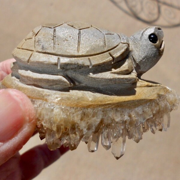 Turtle Medicine Etsy